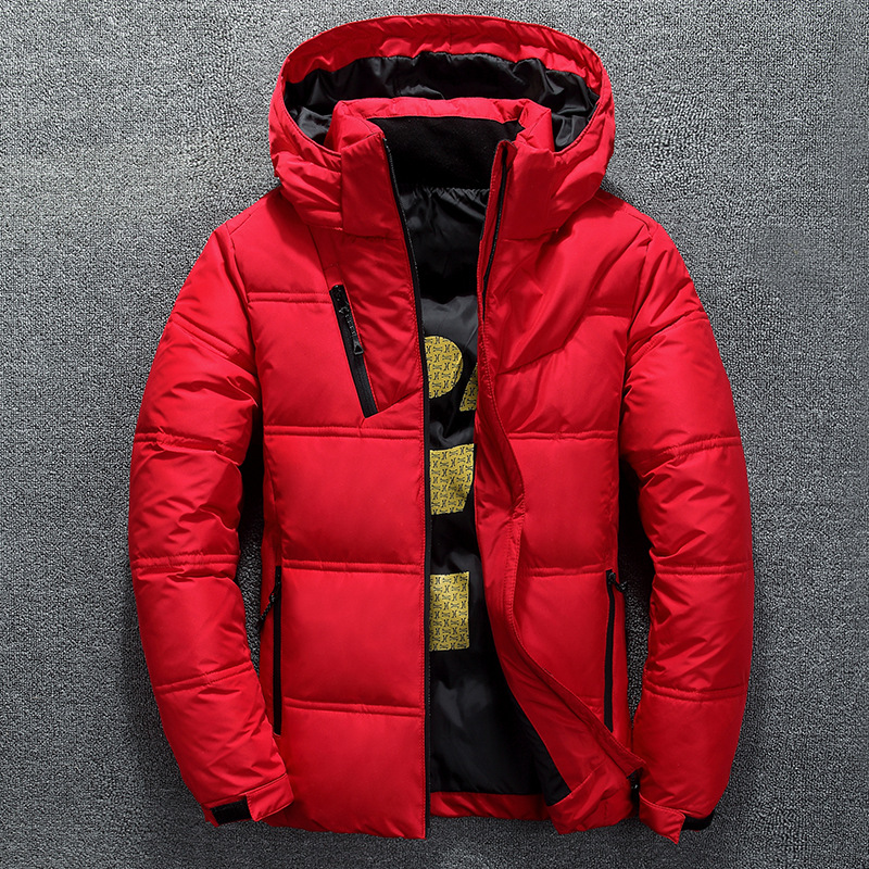 겨울 따뜻한 남성 자켓 코트 캐주얼 가을 스탠드 칼라  - Down Jacket Packable 리뷰 및 가격